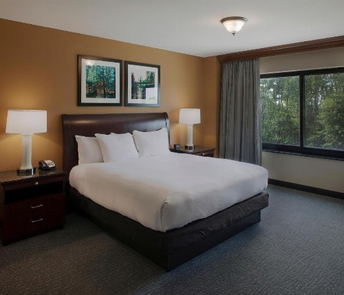 DoubleTree Suites by Hilton Bentonville - image 18