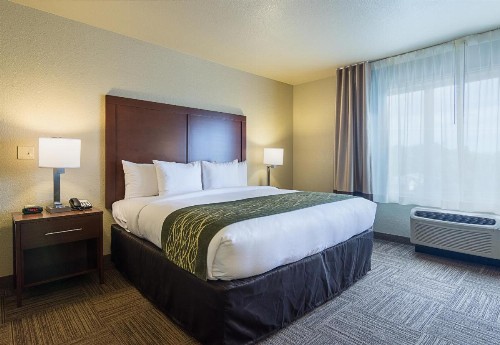 Comfort Inn Bentonville - image 15
