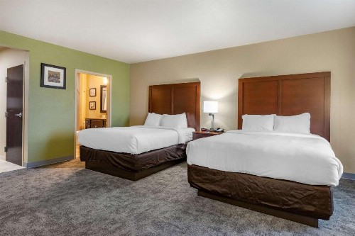 Comfort Inn Bentonville - image 36