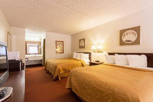 Econo Lodge Inn & Suites Bentonville - Rodgers - image 5