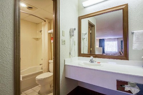 Econo Lodge Inn & Suites Bentonville - Rodgers - image 6