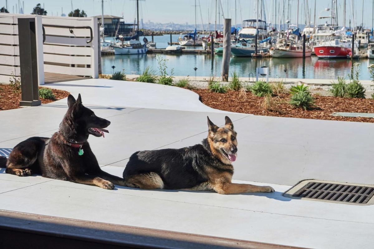 DoubleTree by Hilton Hotel Berkeley Marina - image 3