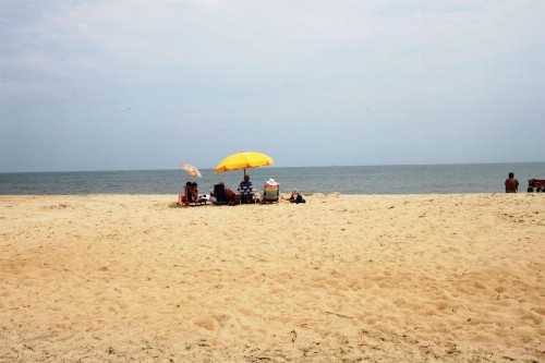 53023 Lakeshore Drive - image 8