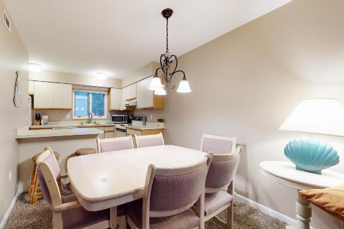 Sea Colony Racquet - image 6