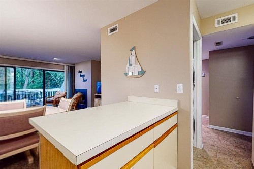 Sea Colony Racquet - image 8