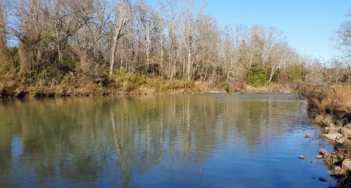 Safari on Glover River cabin
