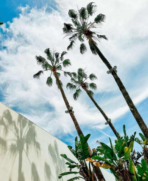 The Beverly Hilton - image 7