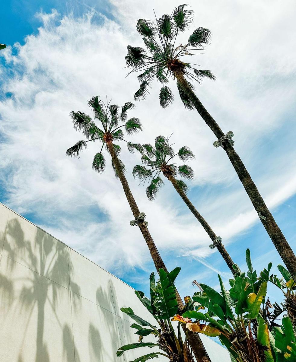 The Beverly Hilton - image 7