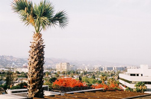 SIXTY Beverly Hills - image 26
