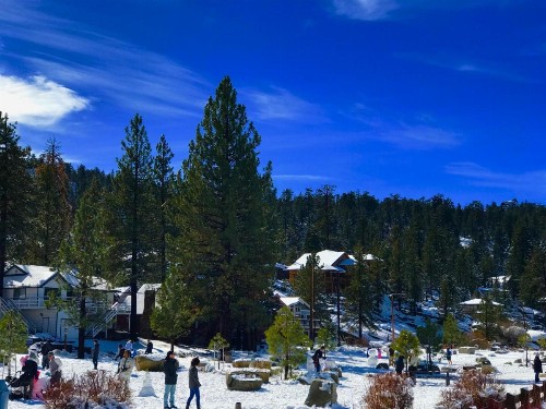 Angel Bear Cabin - image 11