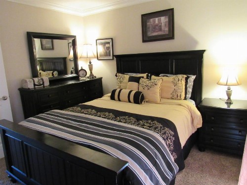 Bear Haven Chalet - image 19