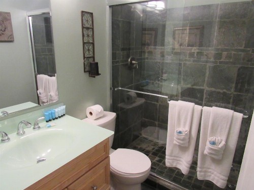 Bear Haven Chalet - image 21