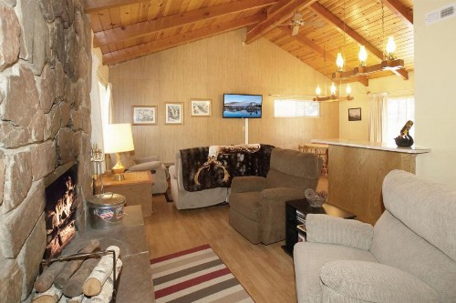 The Cozy Osito - image 12