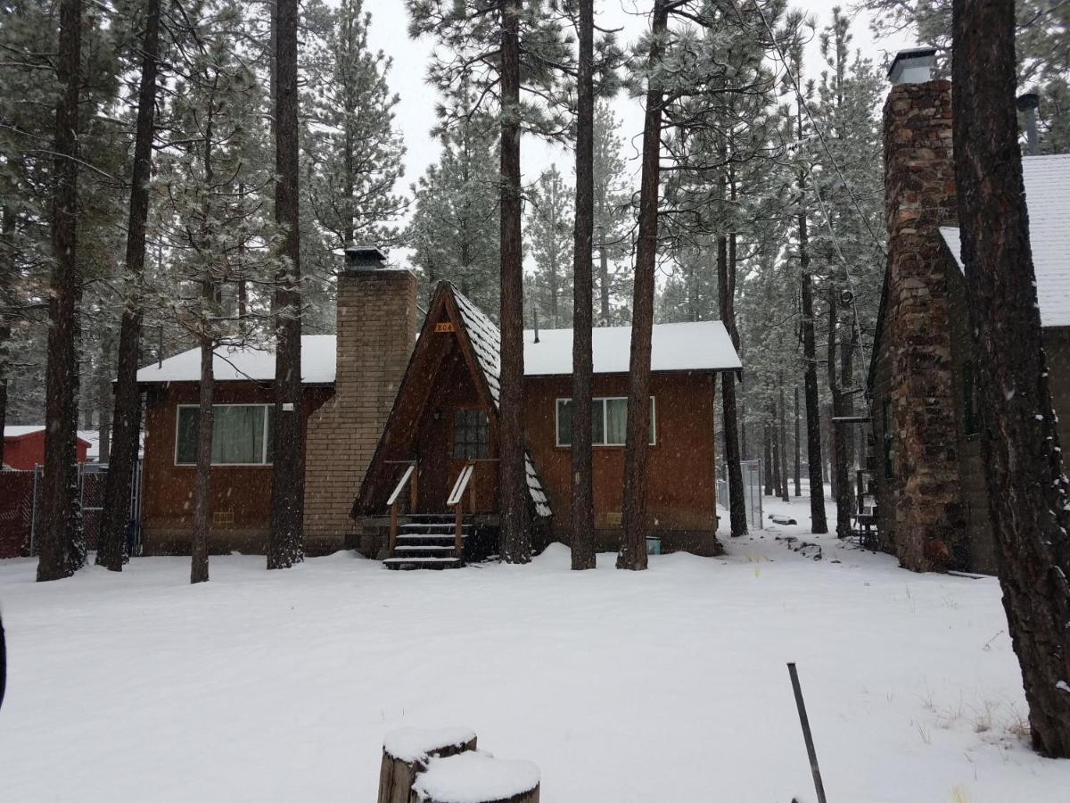 The Cozy Osito - image 6