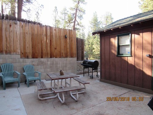 Apple Bear Cabin - image 14
