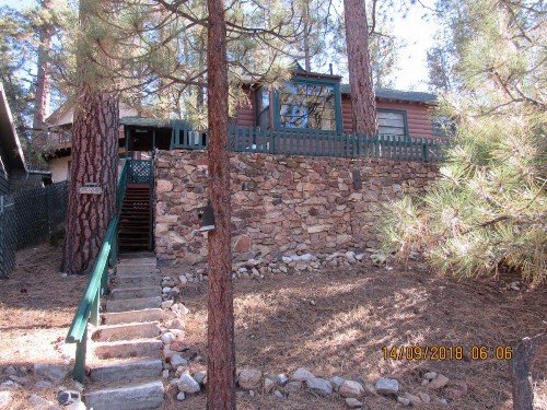 Apple Bear Cabin - image 2