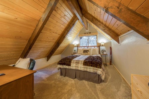 Spruce Splender - image 10