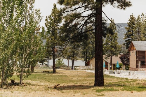 Vintage Lakeside Inn - image 2