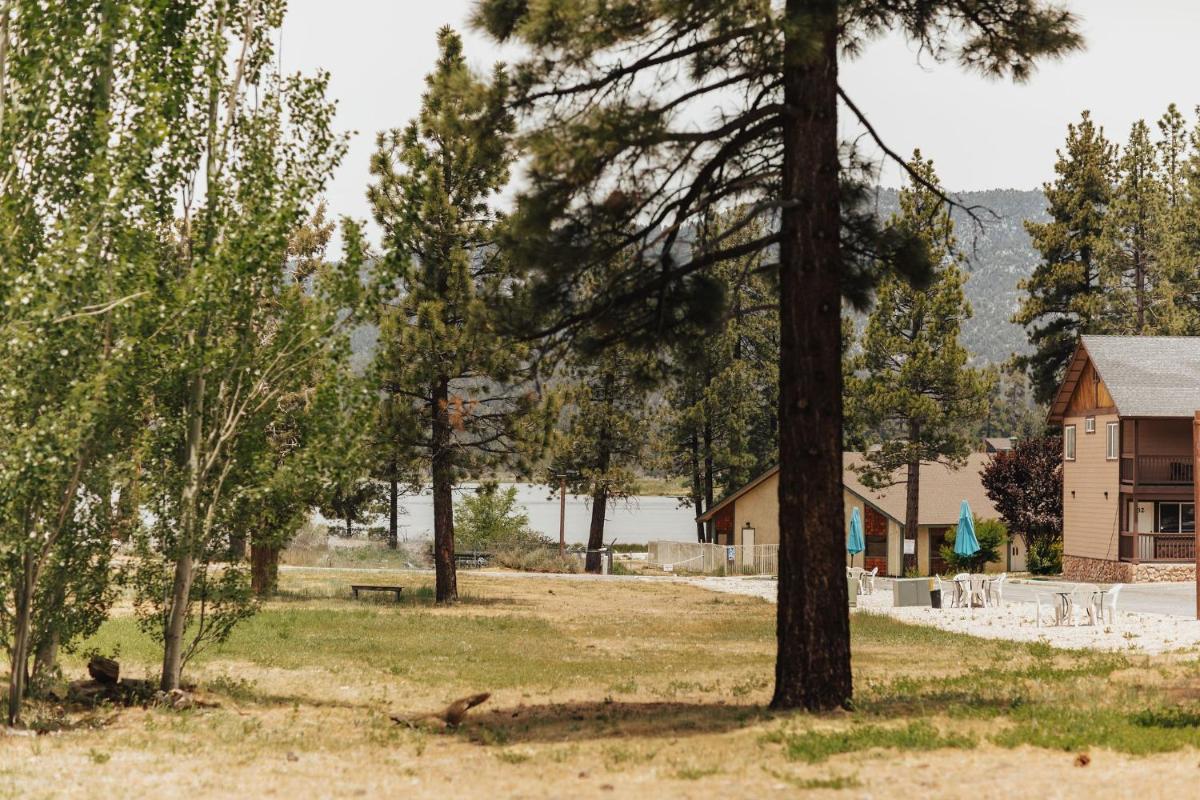 Vintage Lakeside Inn - image 2