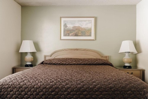 Vintage Lakeside Inn - image 8