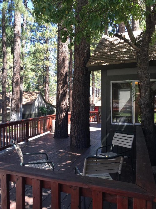 Big Bear Frontier - image 11