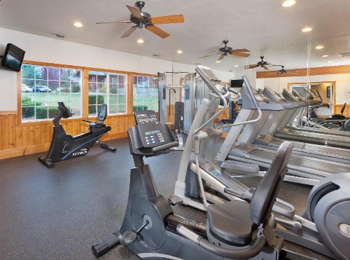 WorldMark Big Bear Lake - image 44