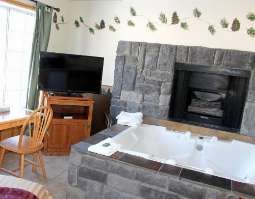 Fireside Lodge - image 30