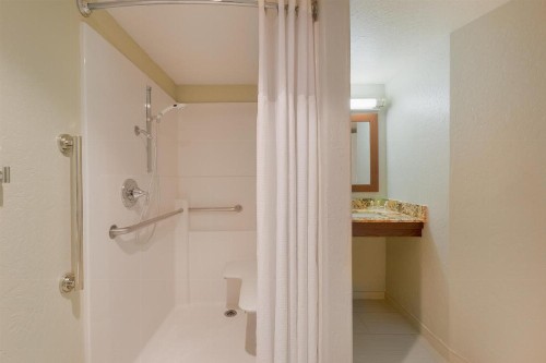 Holiday Inn Resort The Lodge at Big Bear Lake an IHG Hotel - image 17