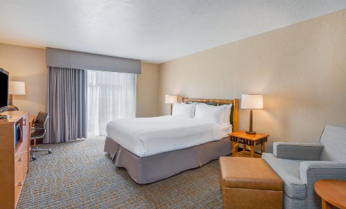 Holiday Inn Resort The Lodge at Big Bear Lake an IHG Hotel - image 18