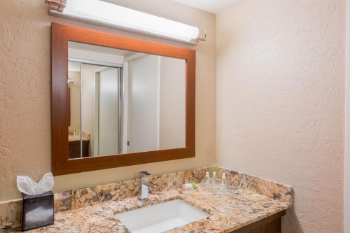 Holiday Inn Resort The Lodge at Big Bear Lake an IHG Hotel - image 19