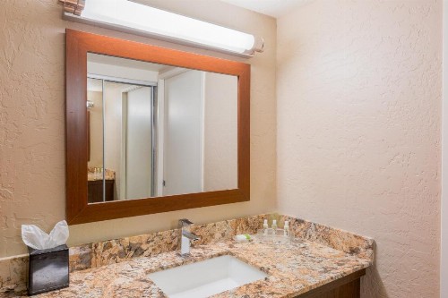 Holiday Inn Resort The Lodge at Big Bear Lake an IHG Hotel - image 49