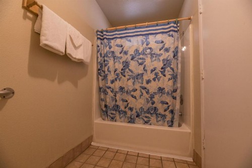 Black Forest Lodge - image 2