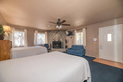 Black Forest Lodge - image 8