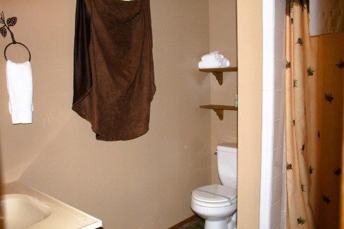 Goldmine Lodge - image 16
