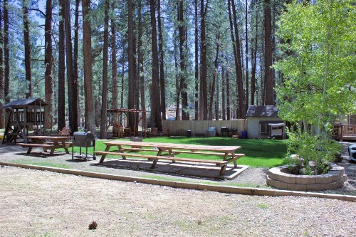 Goldmine Lodge - image 22