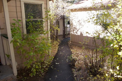 Sleepy Forest Cottages - image 24