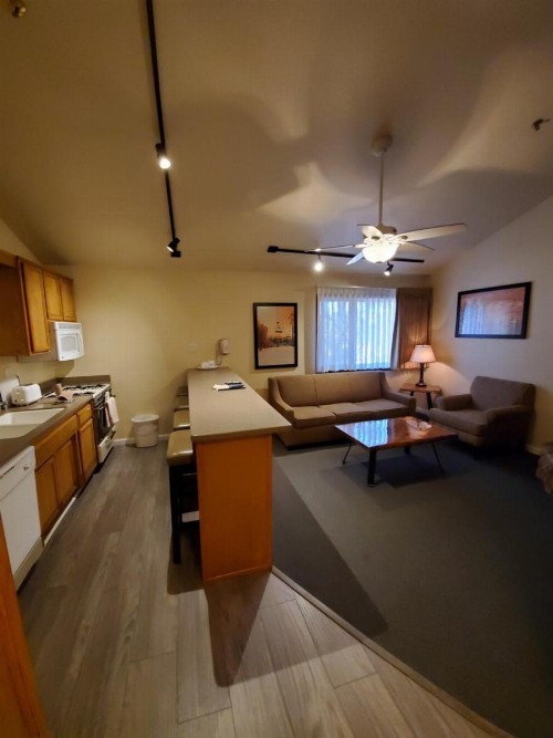 GetAways at Snow Lake Lodge - image 3