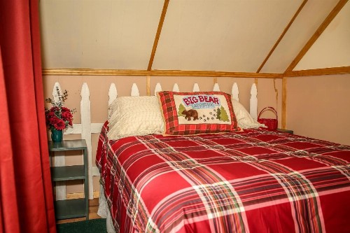 Cinnamon Bear Cabin - image 10
