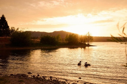 Marina Resort - image 42