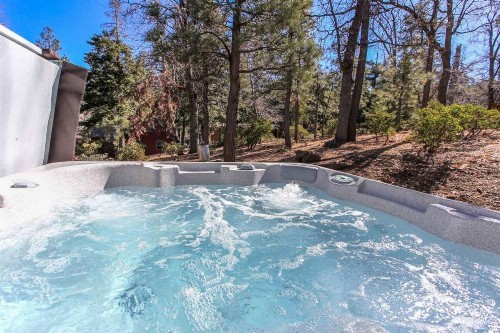 Straight Outta Conklin-1743 by Big Bear Vacations - image 9