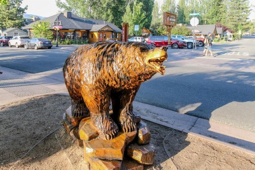 Ponderosa Getaway - image 10