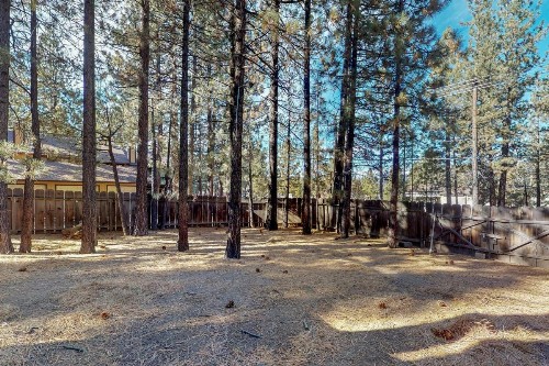 Ponderosa Getaway - image 11