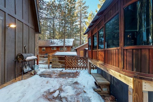 Silver's Garden - image 8