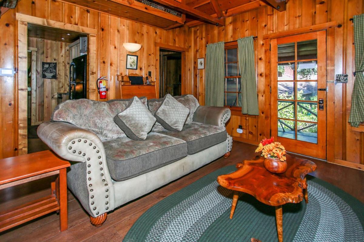 Abe's Amazing Cabin-1421 by Big Bear Vacations - image 7