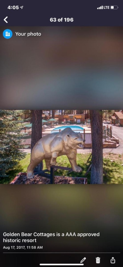Golden Bear Inc - image 5