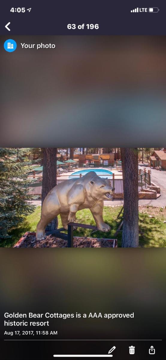 Golden Bear Inc - image 5