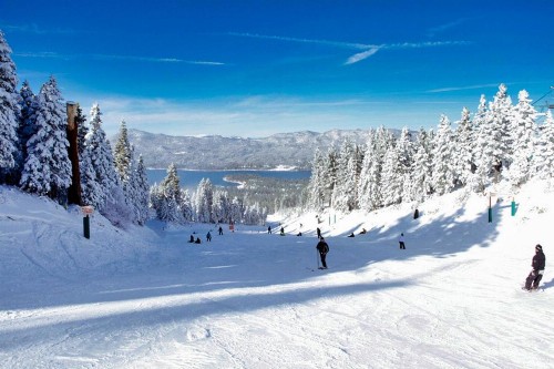 Cottage 1 Arctic Fox Family Retreat Perfect Location to Enjoy Big Bear - image 10