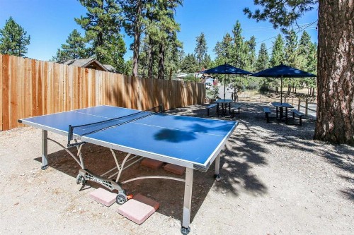 cottage 3 Kit Fox Cozy Retreat - image 9