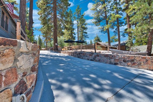 Cottages 6 and 7 Black and Kodiak Bear combined Perfect for Family and Friends - image 11