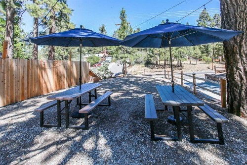 Cottages 6 and 7 Black and Kodiak Bear combined Perfect for Family and Friends - image 6